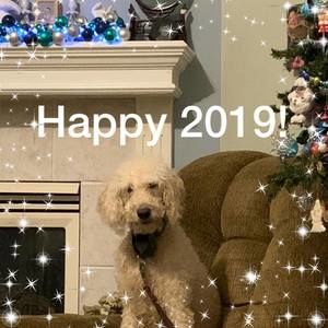 Meet your Posher, Marian